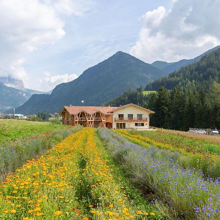 Eco-Green Fiores Agriturismo Виго-ди-Фасса Экстерьер фото