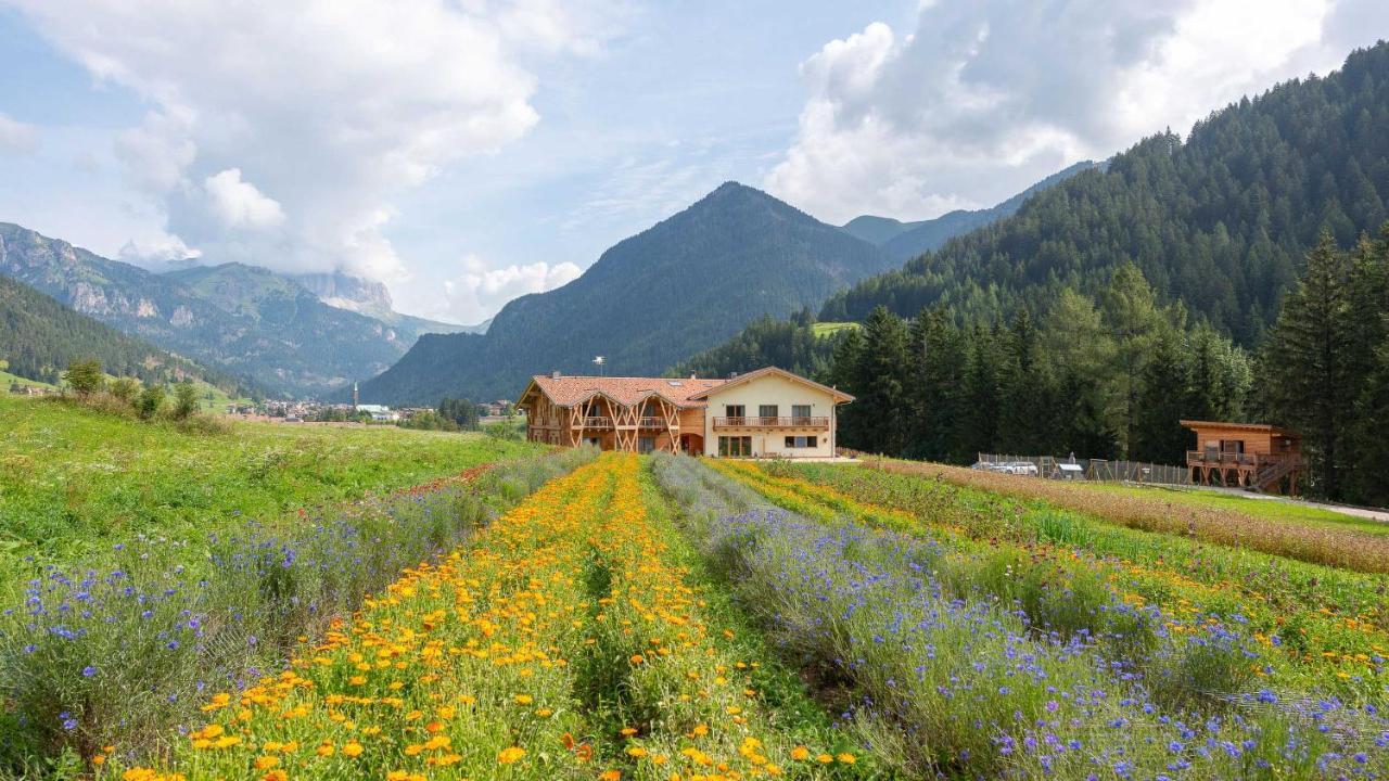 Eco-Green Fiores Agriturismo Виго-ди-Фасса Экстерьер фото