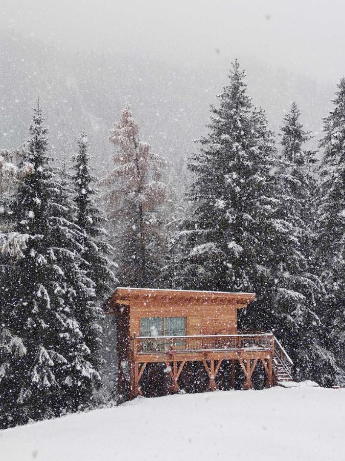 Eco-Green Fiores Agriturismo Виго-ди-Фасса Экстерьер фото